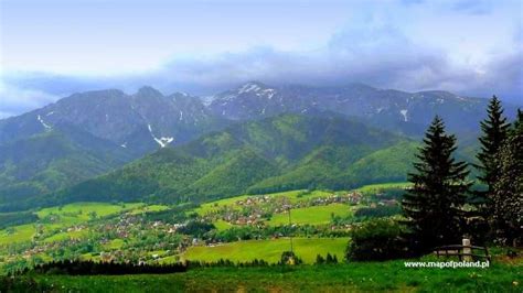 Panorama Tatr W Zakopanem Zakopane Zdjęcie 313518