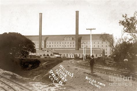 The Spreckels Sugar Beet Factory Near Salinas Circa 1905 Photograph By