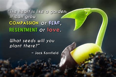 Best Garden Quotes And Inspirational Gardening Sayings