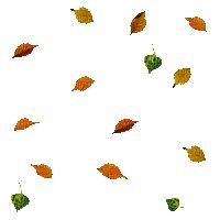 You can choose the most popular free leaves falling gifs to your phone or computer. Autumn leaves, autumn , leaves , gif - PicMix
