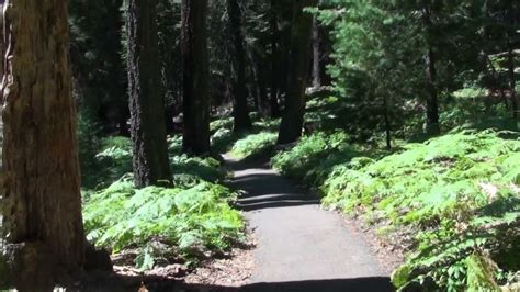 Advance reservations are available for lodgepole and. Sequoia National Park Camping Trip - YouTube