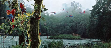 3303x1444 Birds Colors Fantasy Flying Forest Jungle Landscapes