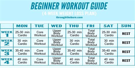 Get inspired by a new feeling you can get: Beginner Workout Plan