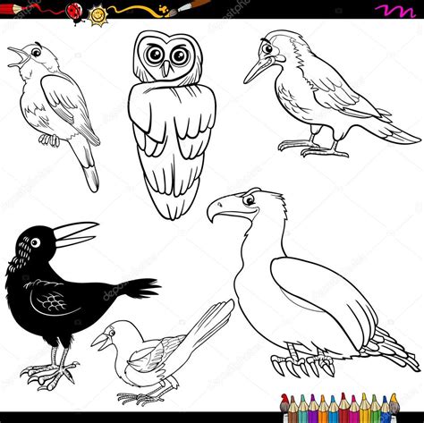 Álbumes 99 Foto Imagenes De Animales Aves Para Colorear Lleno