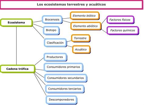Search Results For Mapa Conceptual De Los Tipos De Ecosistemas Demi