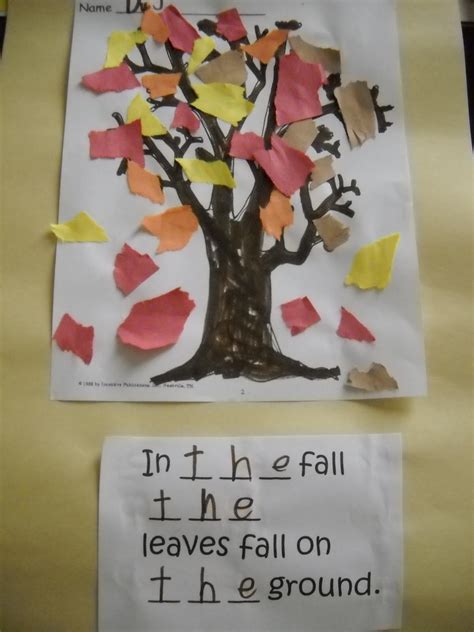 woods kindergarten class fall leaves