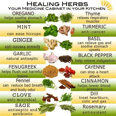 Healing Herbs Healing Herbs Herbs For Health Herbs