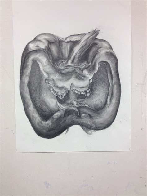How to draw an ape or monkey skull with black and white ink on a charcoal background as a part of learning how to draw the animals. Observation Study - Jack - Harlington Upper School | Art ...