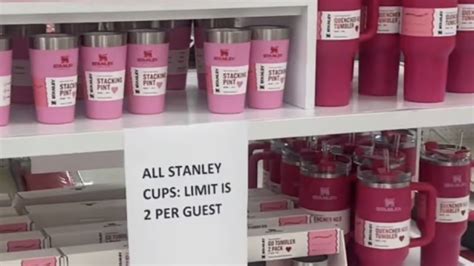 Limited Edition Valentines Day Stanley Cups Are Causing Chaos At Target