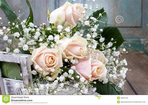 Beautiful Pink Roses And Gypsophila Paniculata Baby S Breath Stock
