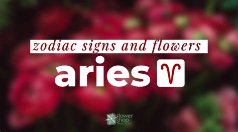 Zodiac Signs And Flowers Aries