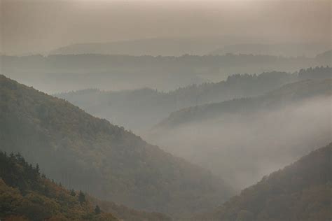 Foggy Hills Stockima