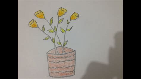 Cách Vẽ Chậu Hoa đơn Giản Hướng Dẫn Vẽ Chậu Hoa đẹp Bằng Bút Chì
