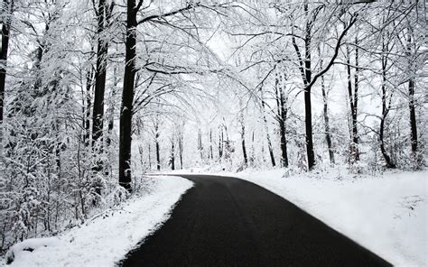 Черно Белые Фото Снега Telegraph