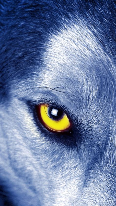 Wolf Wallpaper For Iphone 72 Images