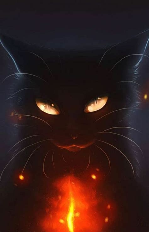 99 Hình ảnh Mèo đen Anime Ngầu Ảnh Con Mèo đen Cute Mới Nhất