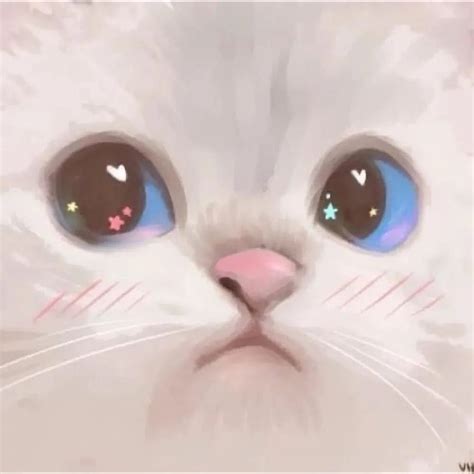 Update 67 Anime Cat Pfp Best Incdgdbentre