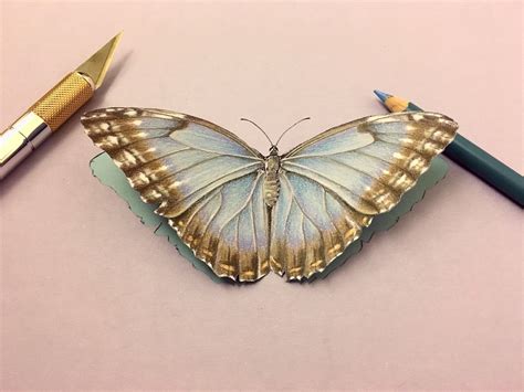 Butterfly Drawing With Colour 3d Which Is Why We Are Providing You