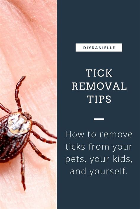 How To Remove A Tick Tick Removal Dog Health Tips Pet Health