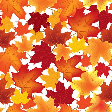 Autumn Maple Leaves Seamless Pattern Floral Background Vector