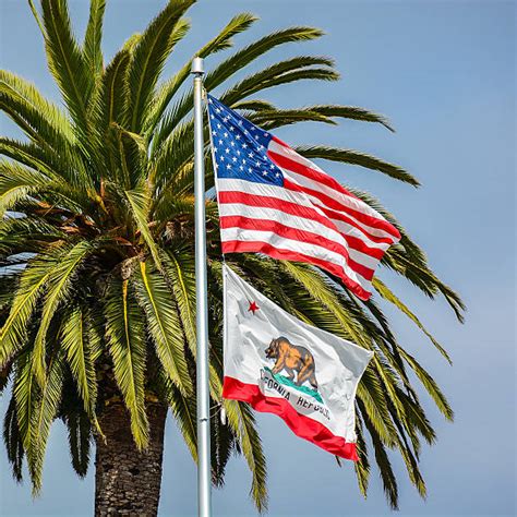 Royalty Free California State Flag Pictures Images And Stock Photos