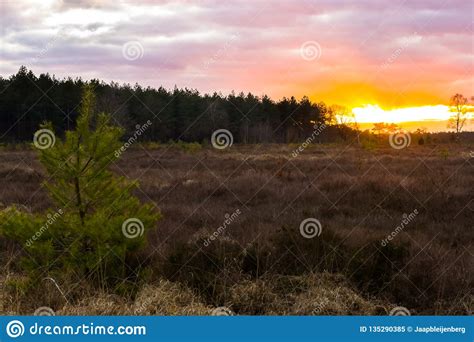 Sunset Giving A Colorful Sky And Clouds In A Heather Landscape With