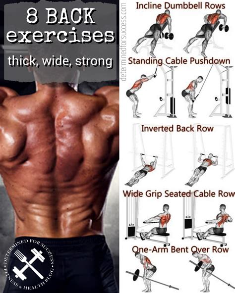 2019 8 Back Exercises That Give You A Thicker Wider Stronger Back Click Here To See More