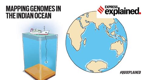 Quixplained What Will Scientists Learn From Genome Mapping In The Indian Ocean Explained