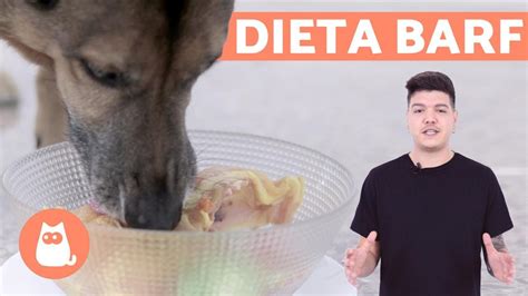 Tabla De Dieta Barf Para Perros La Guía Definitiva Para Una