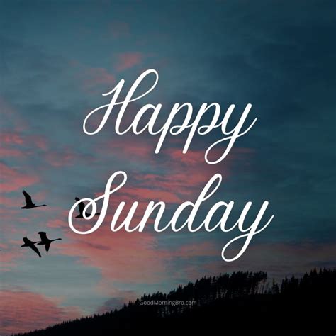40 Happy Sunday Images Download Hd 2021