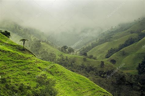 Jungle In Colombian Green Mountains Colombia Latin America — Stock