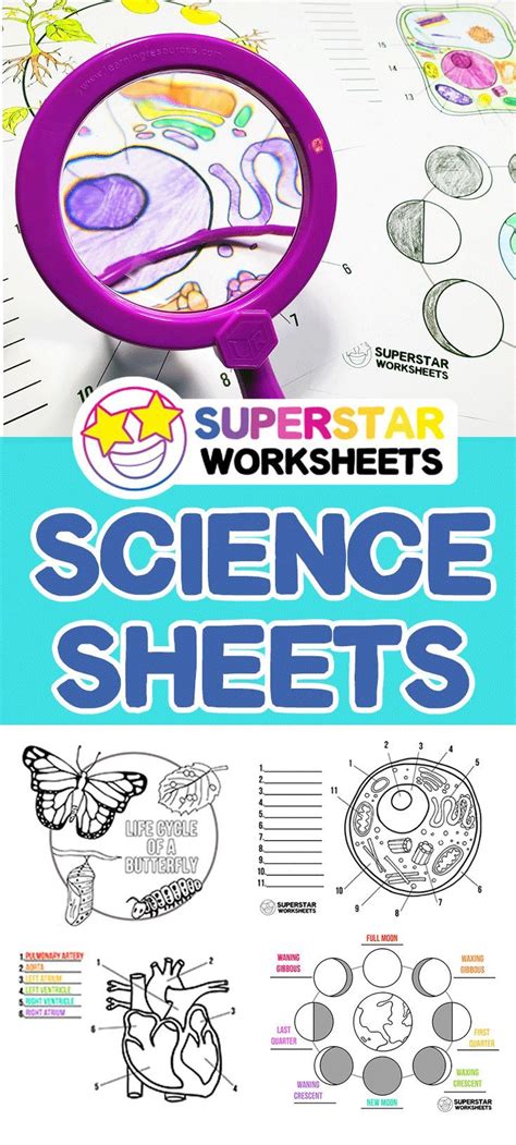 Science Worksheets in 2020 | Science worksheets, Free ...