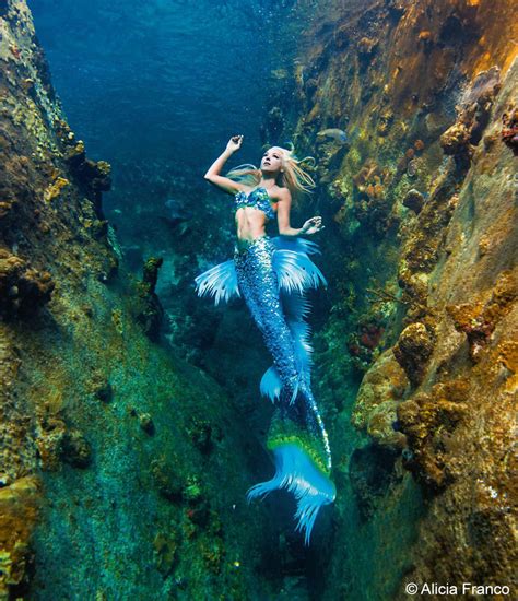 Mermaid Wallpaper Beautiful Real Real Life Mermaid PNG