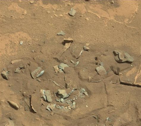 Thigh Bone On Mars Is Just Another Rock Nasa Says Space