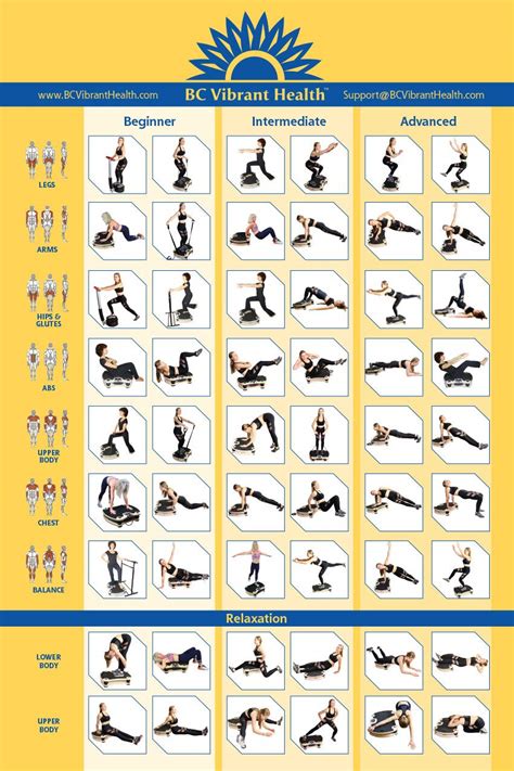Full Body Vibration Poster Whole Body Vibration Plate Exercise Chart
