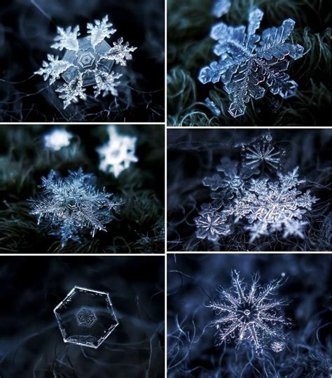 These High Resolution Snowflake Images Are A Treat To Watch