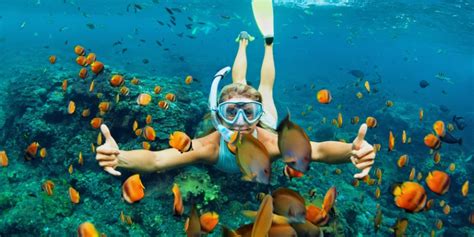 2. Snorkeling Tips and Tricks