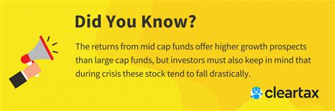 Large Cap Stocks Definition Top 10 Pros And Cons India Dictionary