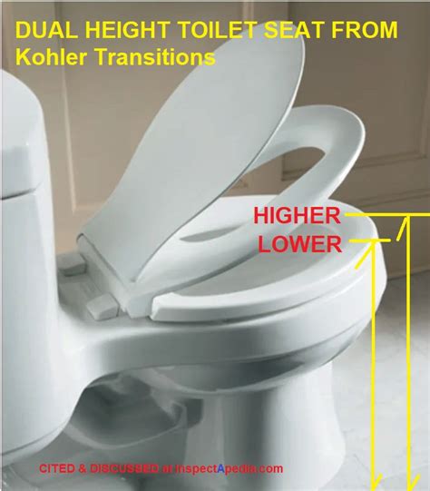 Principal 110 Imagen High Toilet Seat Height Vn