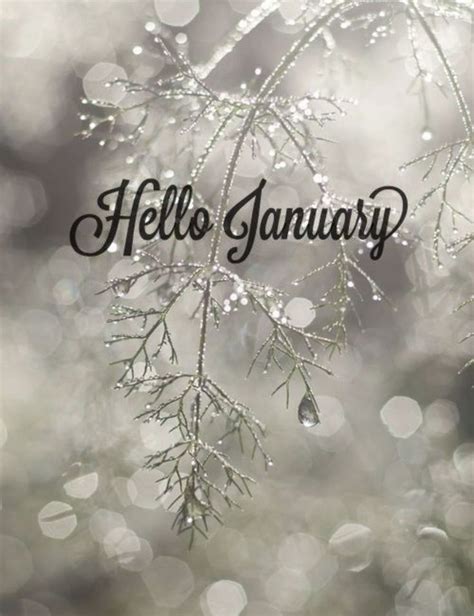 Hello January #hellonovembermonth | Hello january, January images ...