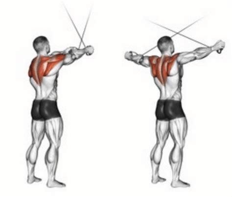 The Cable Rear Delt Fly How To Maximize This Rear Delt Exercise In
