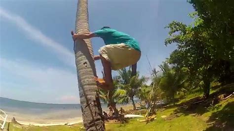 COCONUT TREE CLIMBING IN THE PHILIPPINES GOPR1522 YouTube