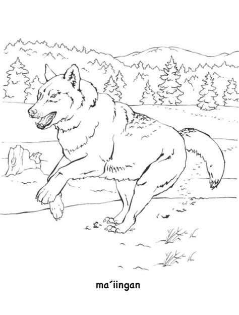Nativity Coloring Pages Native American Base Quote Coloring Pages