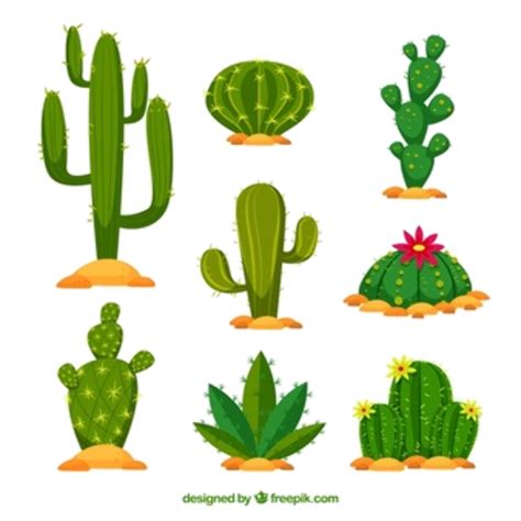 Download High Quality Cactus Clip Art Vector Transparent Png Images
