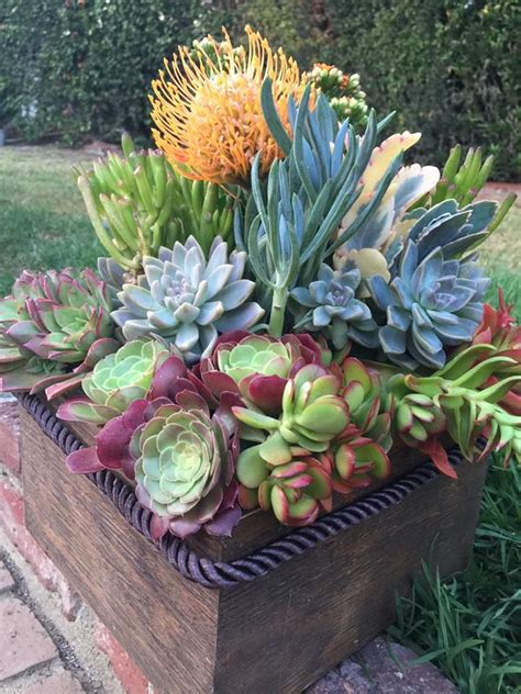 952 Best Images About Container Gardening On Pinterest Succulent