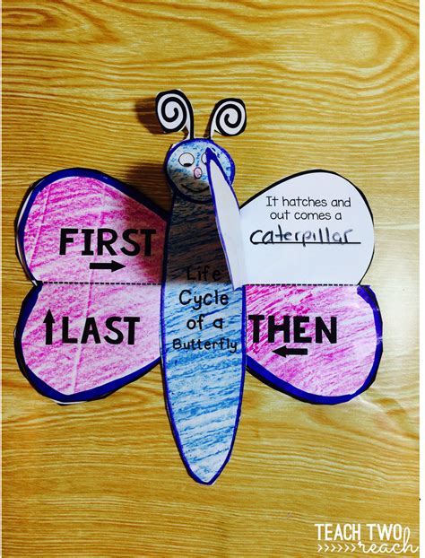 Fun Activities And Crafts To Learn About The Butterfly Life Cycle Two