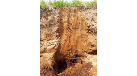 Soil Scientists Unearth History From A Soil Pit Morning Ag Clips