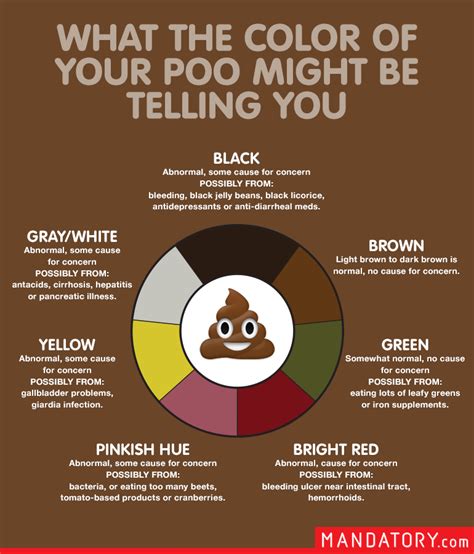 The Poop Scoop What The Color Of Your Stool Might Be Telling You