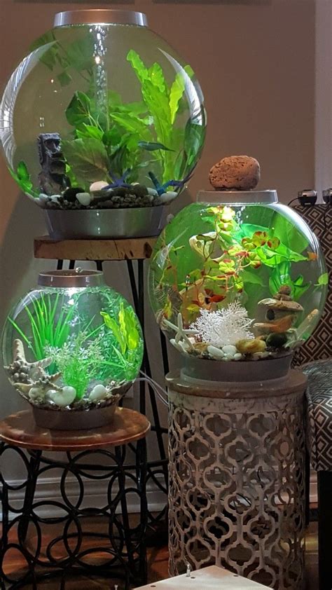 Unique Fish Tanks Small Fish Tanks Cool Fish Tanks Round Fish Tank