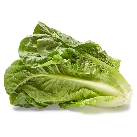 Romaine Lettuce 1 Head Healthy American Home